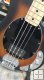 Sterling by Music Man Sting Ray Ray 4