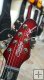 Sterling by Music Man Majesty DiMarzio 6 Corde Royal Red