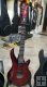 Sterling by Music Man Majesty DiMarzio 6 Corde Royal Red